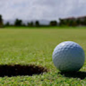 Meet your Posher, Griffin